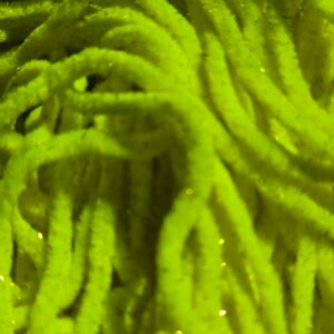 Shimmer worm